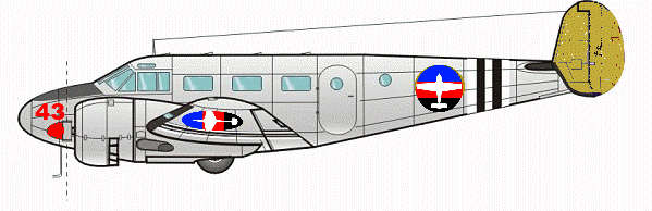 The early aircraft of Newlands Airforce