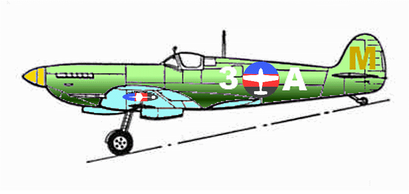 The early aircraft of Newlands Airforce