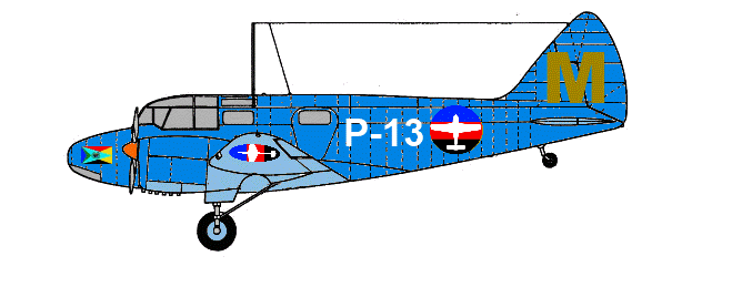 The early aircraft of Newlands Airforce