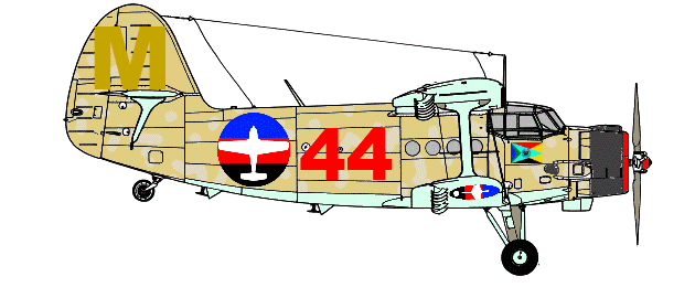 The early aircraft of Newlands Airforce