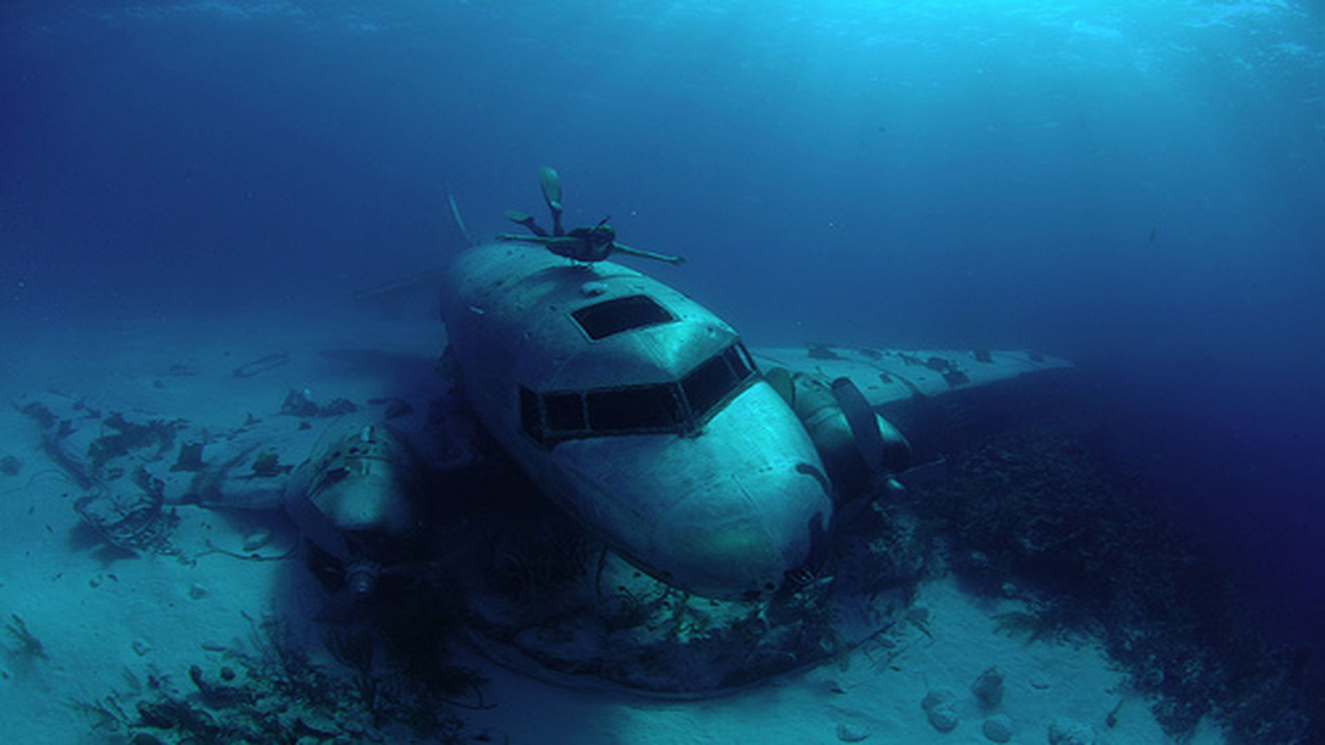 The Wreck of Newlands Airlines DC3
